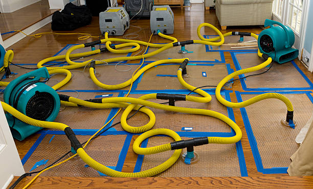 Professional Water Damage Repair technician working in Syracuse, KS